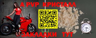 шишки Балашиха