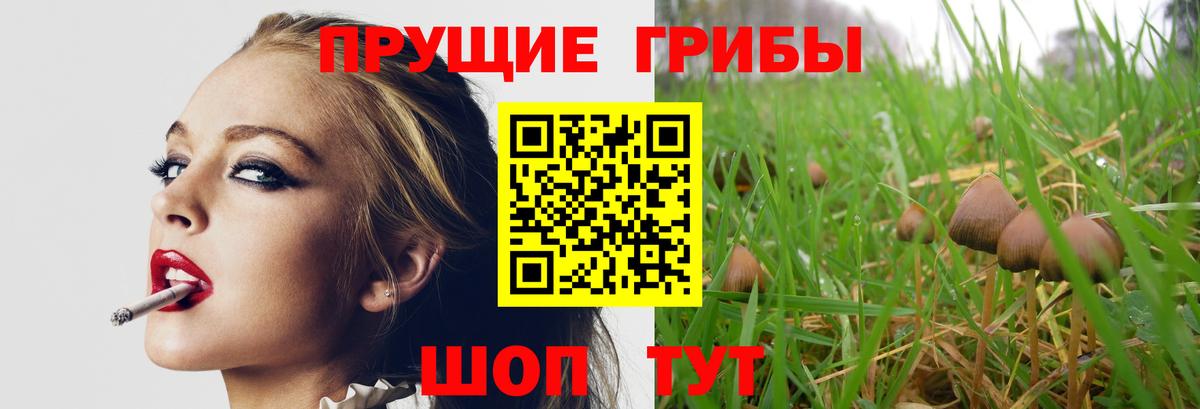 Галлюциногенные грибы мухоморы Гуково